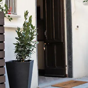 Casa Silve Appartement